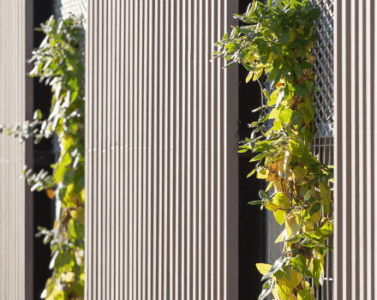 Les ateliers Développement- lesateliers4plus